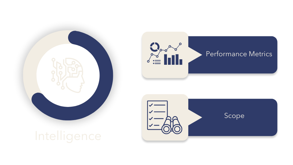 Intelligence Overview